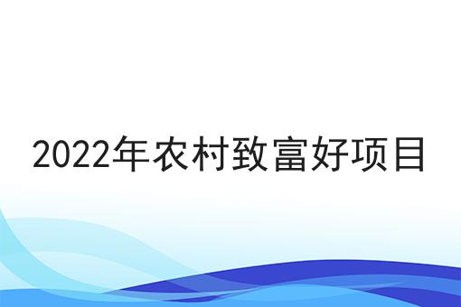 2022年村庄致富好项目