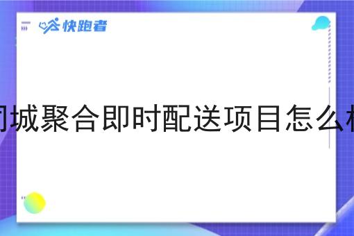 同城聚合即时配送项目怎么样 同城聚合即时配送项目怎么样