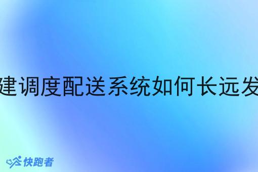 自建调度配送系统如何长远发展