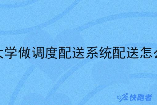 在大学做调度配送系统配送怎么样