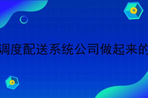 县城调度配送系统公司做起来的有吗