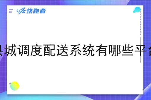县城调度配送系统有哪些平台
