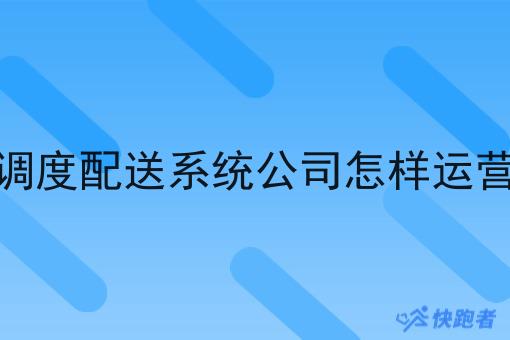 调度配送系统公司怎样运营