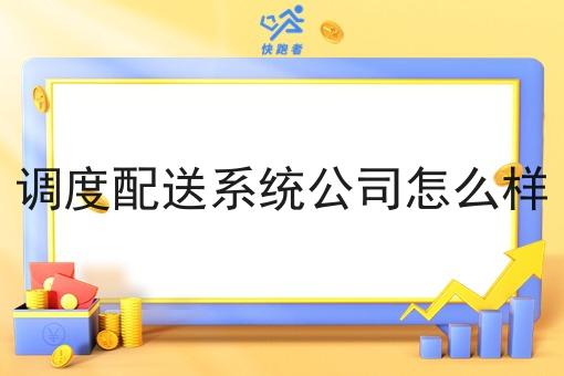调度配送系统公司怎么样