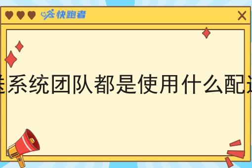 调度配送系统团队都是使用什么配送系统的