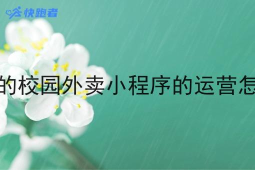 像美团的校园外卖小程序的运营怎么做的