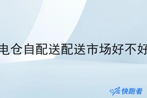 闪电仓自配送配送市场好不好做 闪电仓自配送配送市场好不好做