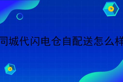 同城代闪电仓自配送怎么样