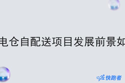 闪电仓自配送项目发展前景如何 闪电仓自配送项目发展前景如何