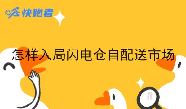 怎样入局闪电仓自配送市场 怎样入局闪电仓自配送市场