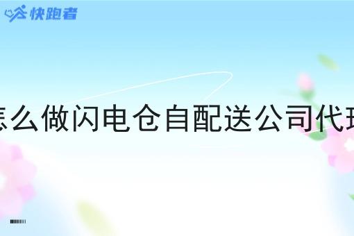 怎么做闪电仓自配送公司代理 怎么做闪电仓自配送公司代理