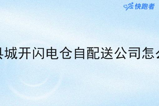 小县城开闪电仓自配送公司怎么样