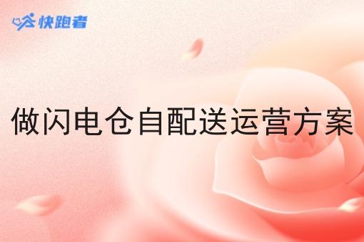 做闪电仓自配送运营方案