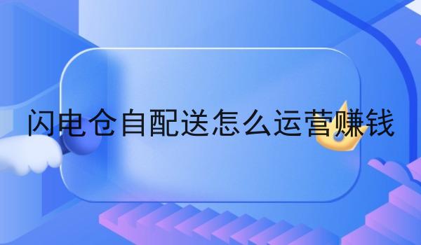 闪电仓自配送怎么运营赚钱