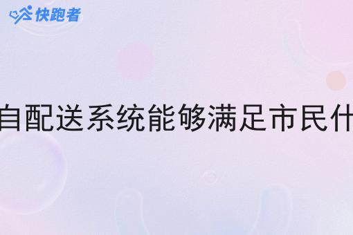闪电仓自配送系统能够满足市民什么需求