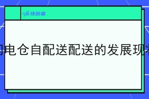 现如今闪电仓自配送配送的发展现状如何了