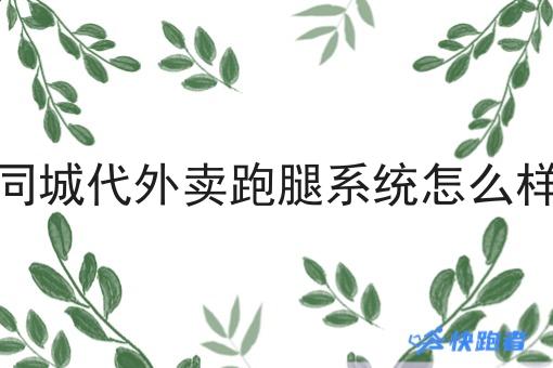 同城代外卖跑腿系统怎么样 同城代外卖跑腿系统怎么样