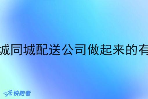 县城同城配送公司做起来的有吗 县城同城配送公司做起来的有吗