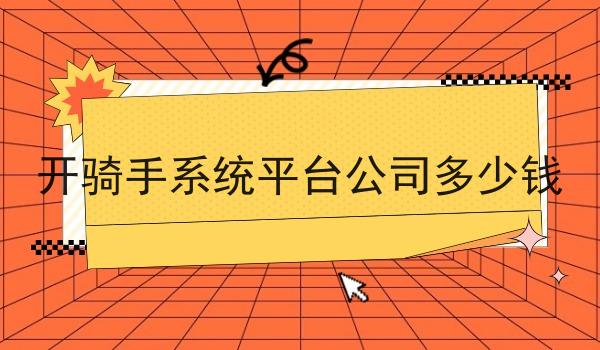 开骑手系统平台公司多少钱