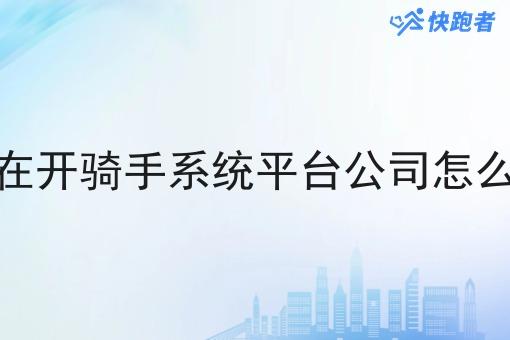 现在开骑手系统平台公司怎么样