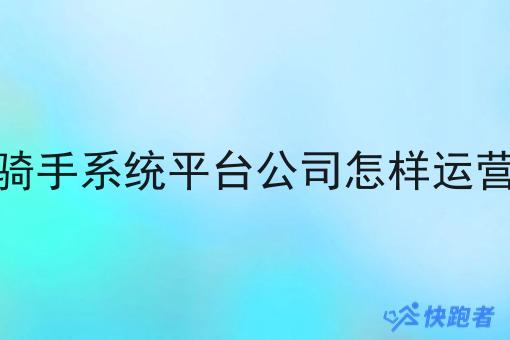 骑手系统平台公司怎样运营